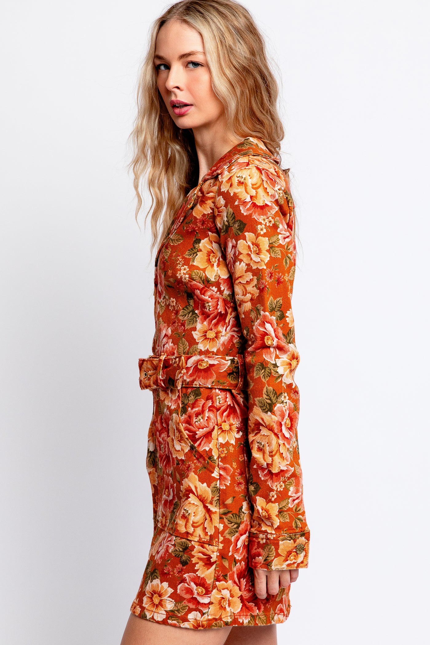 Show Me Your Mumu Outlaw Long Sleeve Dress