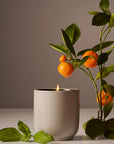 Homecourt Mandarin Basille Candle